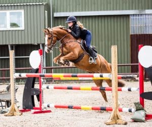 Horses-and-Ponies-for-Sale-Jumper-Eventer-Top-Pony