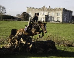 Sales-Horses-Jumper-Broodmare-Irish-Horse-Showjumping-Cross-Training