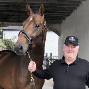 Seamus and breeding stallion Mr Connery B (low res!) P;Zsofie Denes Seamus and breeding stallion Mr Connery B (low res!) P;Zsofie Denes